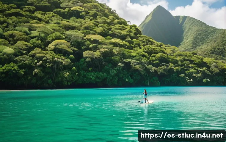 세인트루시아에서의 해양 스포츠 관련 이미지 2